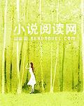 贵族公主王子
