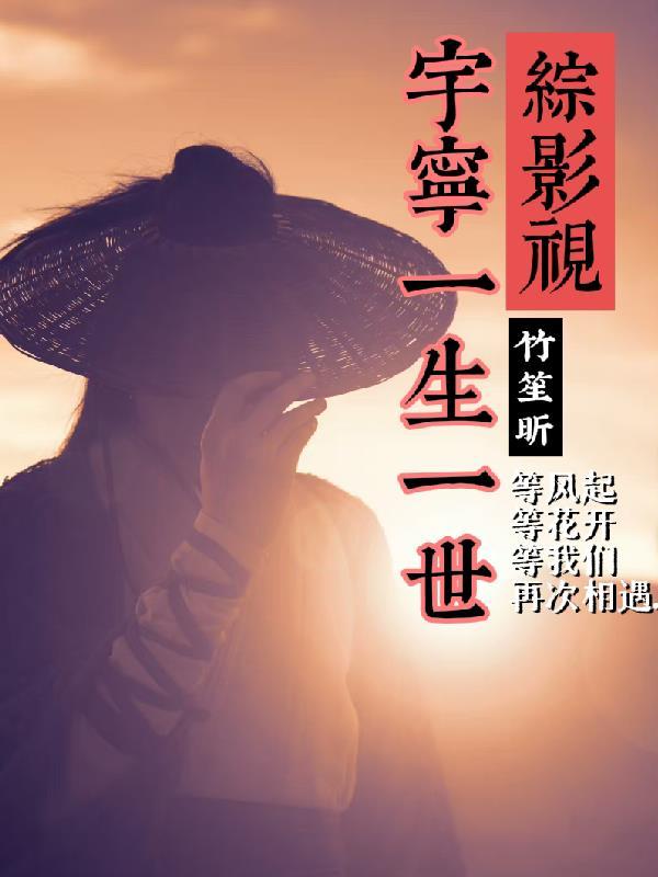 综影视之宇文护