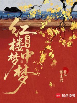 红楼梦晴雯是什么身份