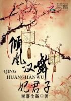 倾凰不同性格皇上