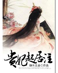 贵妃起居注谁生了儿子