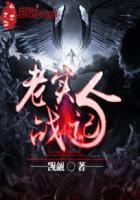 老实人百度