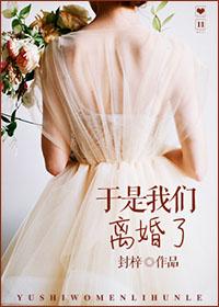 于是我们离婚了作者封梓