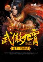 武傲九霄无错版