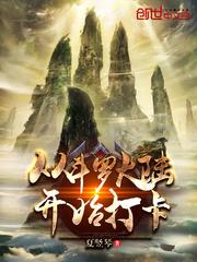 从斗罗开始打卡王枫的老婆