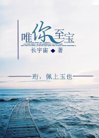 唯你至宝 长宇宙讲什么