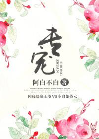 专家的英文