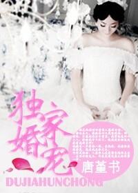 独家婚宠穆少