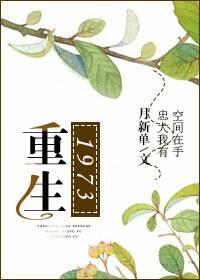 重生1973曹向阳