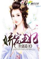 陆少娇宠王妃