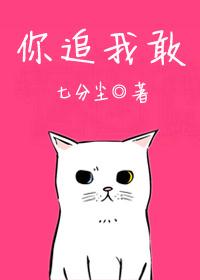 你追我敢打一准确生肖