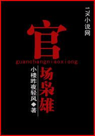 官场枭雄陈功全文阅读