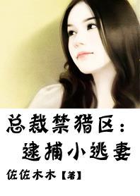 总裁囚禁逃跑小娇妻泰剧