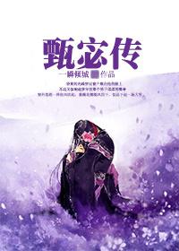 三国甄宓传曹丕征服