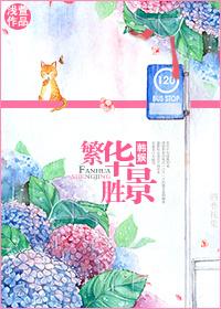 繁华胜景什么意思