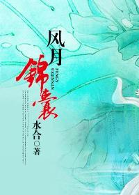 风月锦囊姊妹篇
