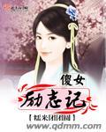 傻女讲的什么
