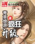 疯狂升级系统动态漫画免费观看
