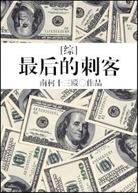 综最后的刺客格格党