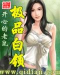 极品白领开心老鼠