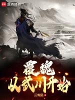 覆魏，从武川开始
