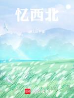 阿勒泰往事