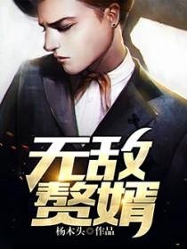 无敌赘婿