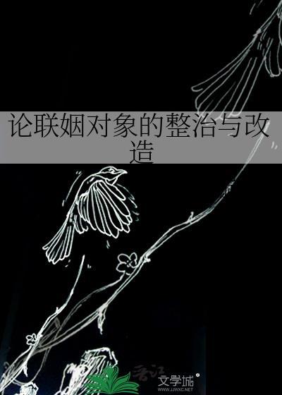 论联姻对象的整治与改造